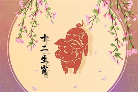 豬男蛇女結婚|生肖豬男與生肖蛇女的配對婚姻